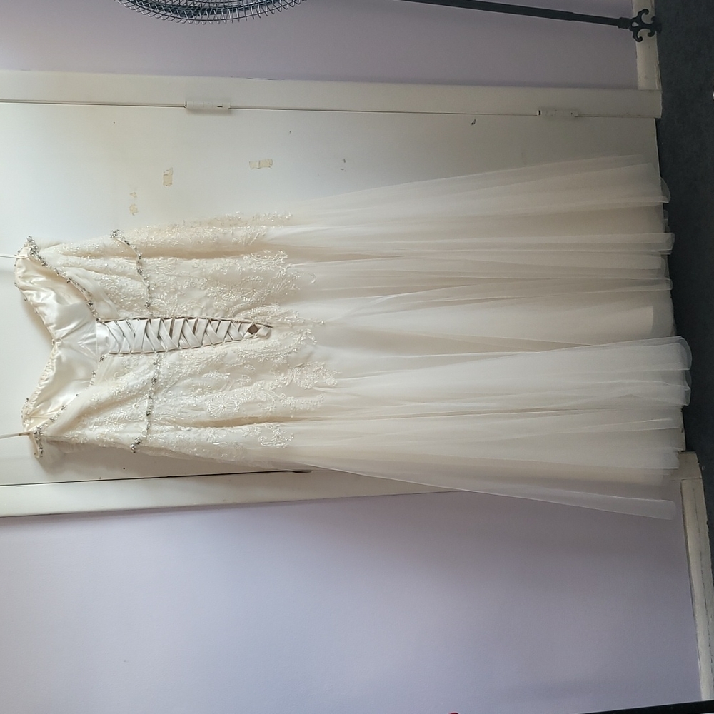 David's Bridal ivory wedding dress - Picture 5 of 8